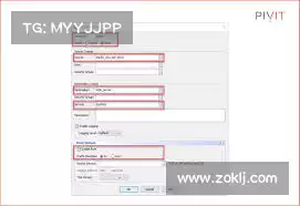 黑洞加速器免费版——畅享快速浏览，感受前所未有的流畅体验！